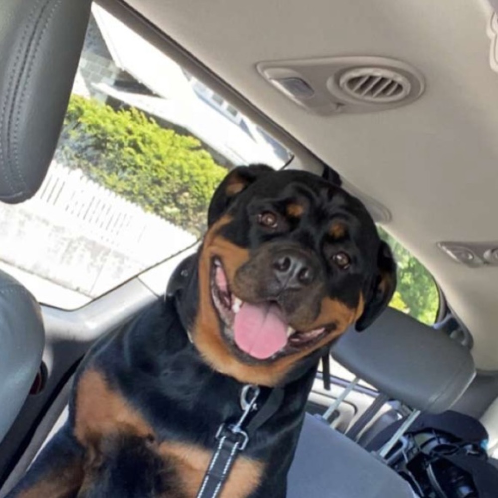 Meet your Posher, Cassie